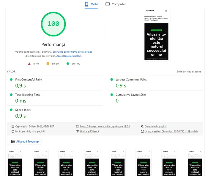 Rezultat Google PageSpeed 100%